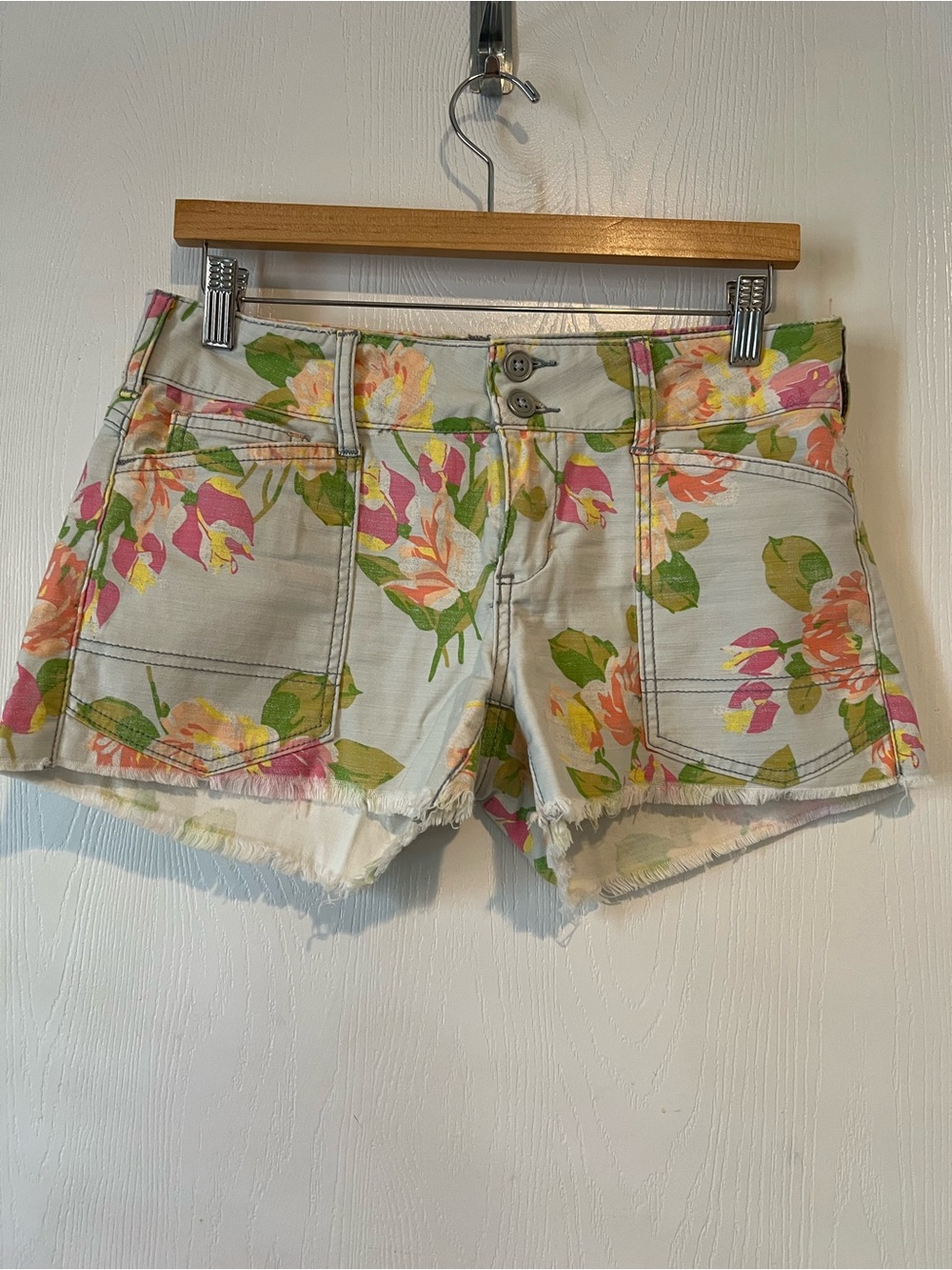 Pilcro The Wanderer Floral Denim Shorts Blue Pink Orange Frayed Hem Women Sz 26